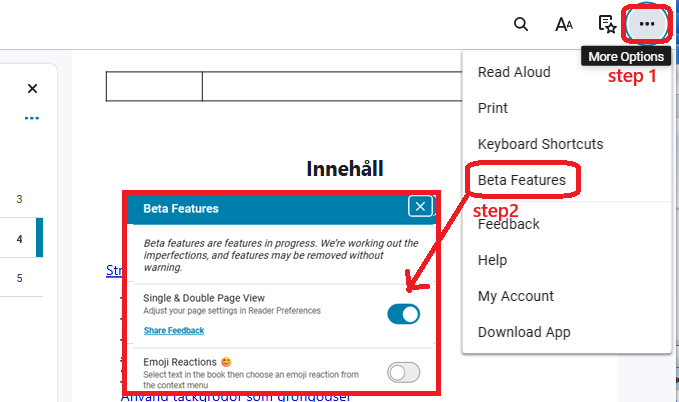 VitalSource Bookshelf Beta options showing the setting used to enable Single Page or Double Page view