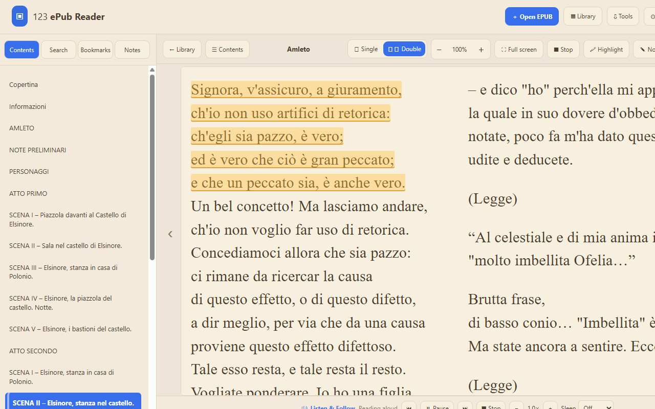 EPUB book open in the Chrome reader