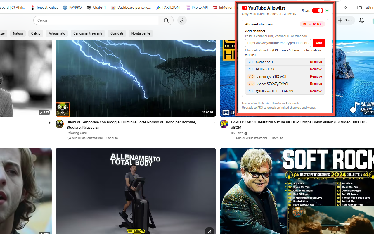 YouTube Allowlist popup with allowlist and status indicator